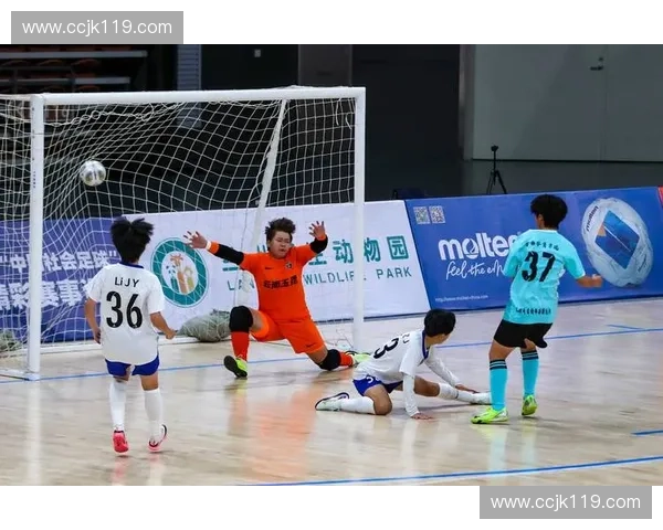 2025赛季足球联赛精彩纷呈 各大俱乐部争夺冠军激烈竞争